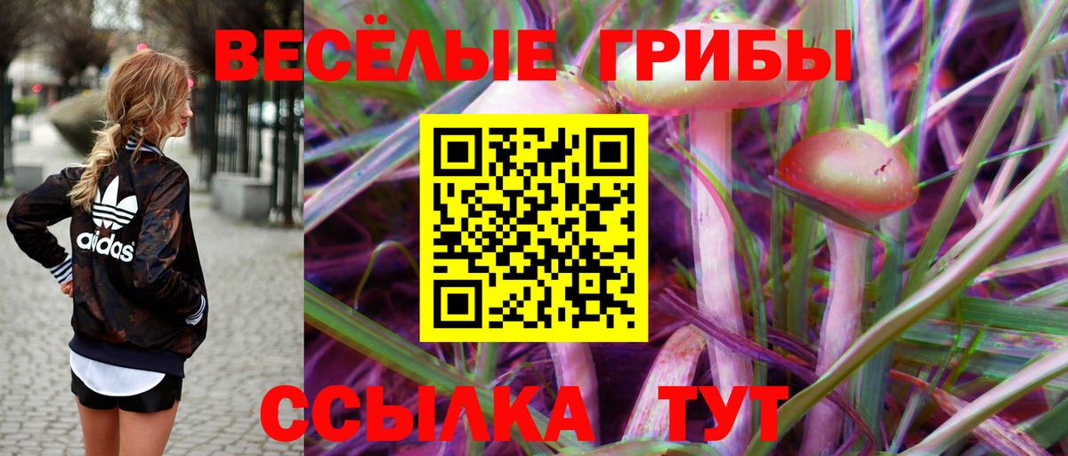 Крымск  Галлюциногенные грибы Psilocybine cubensis  Вход с VPN 